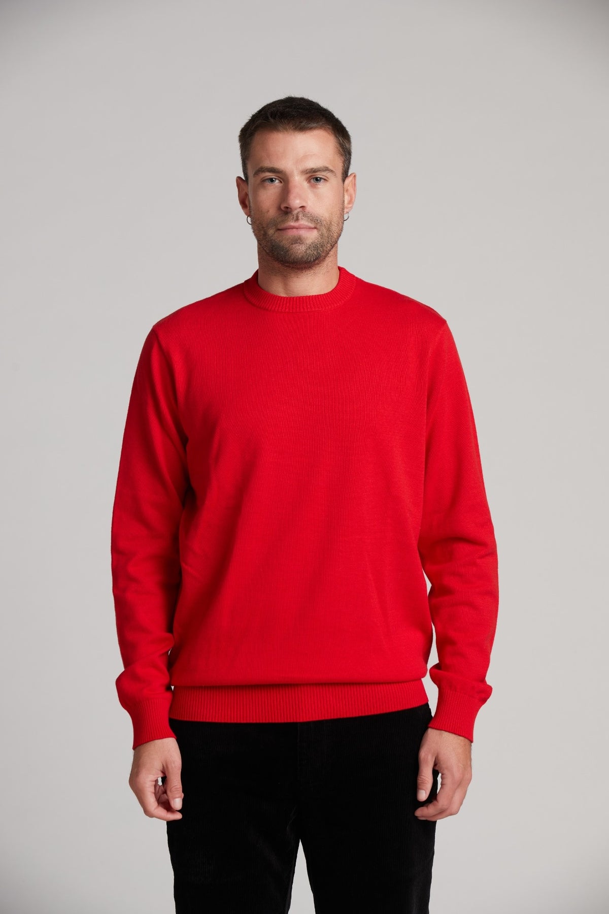 Pull col rond 100 % coton, maille fine