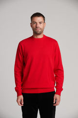 Pull col rond 100 % coton, maille fine